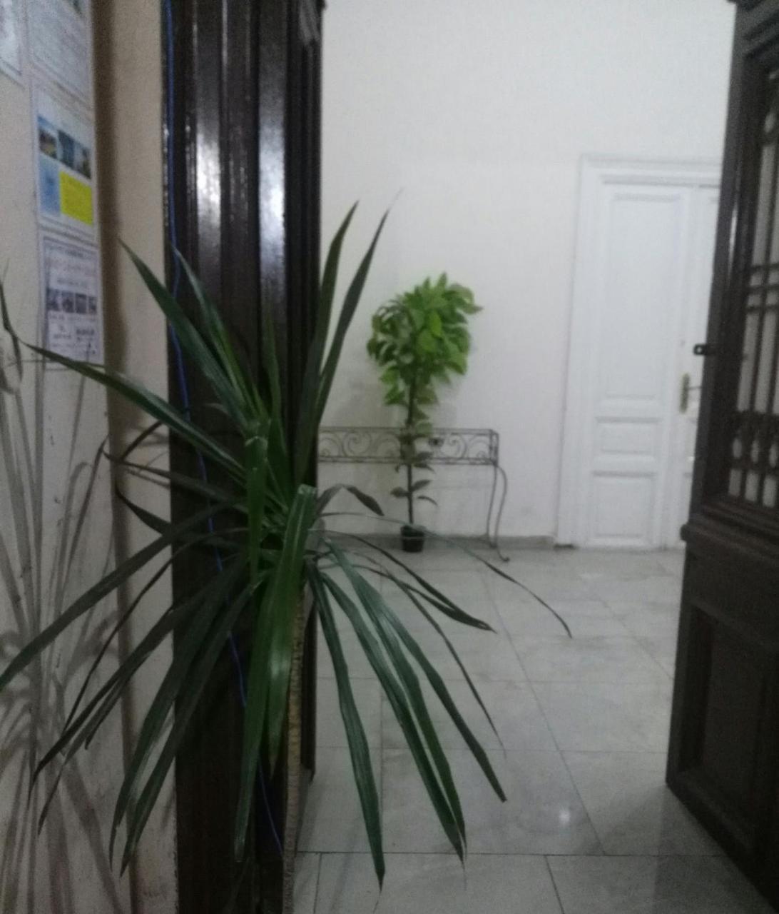 Safary Hostel Cairo